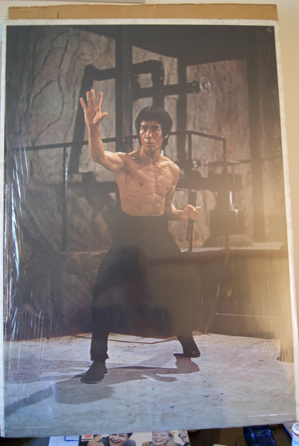 Bruce Lee Poster Enter The Dragon