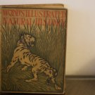 Wood's Illustrated Natural History