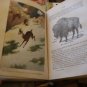 Wood's Illustrated Natural History