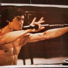 Bruce Lee posters
