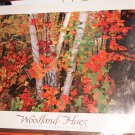 Woodland hues poster