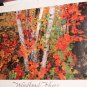 Woodland hues poster