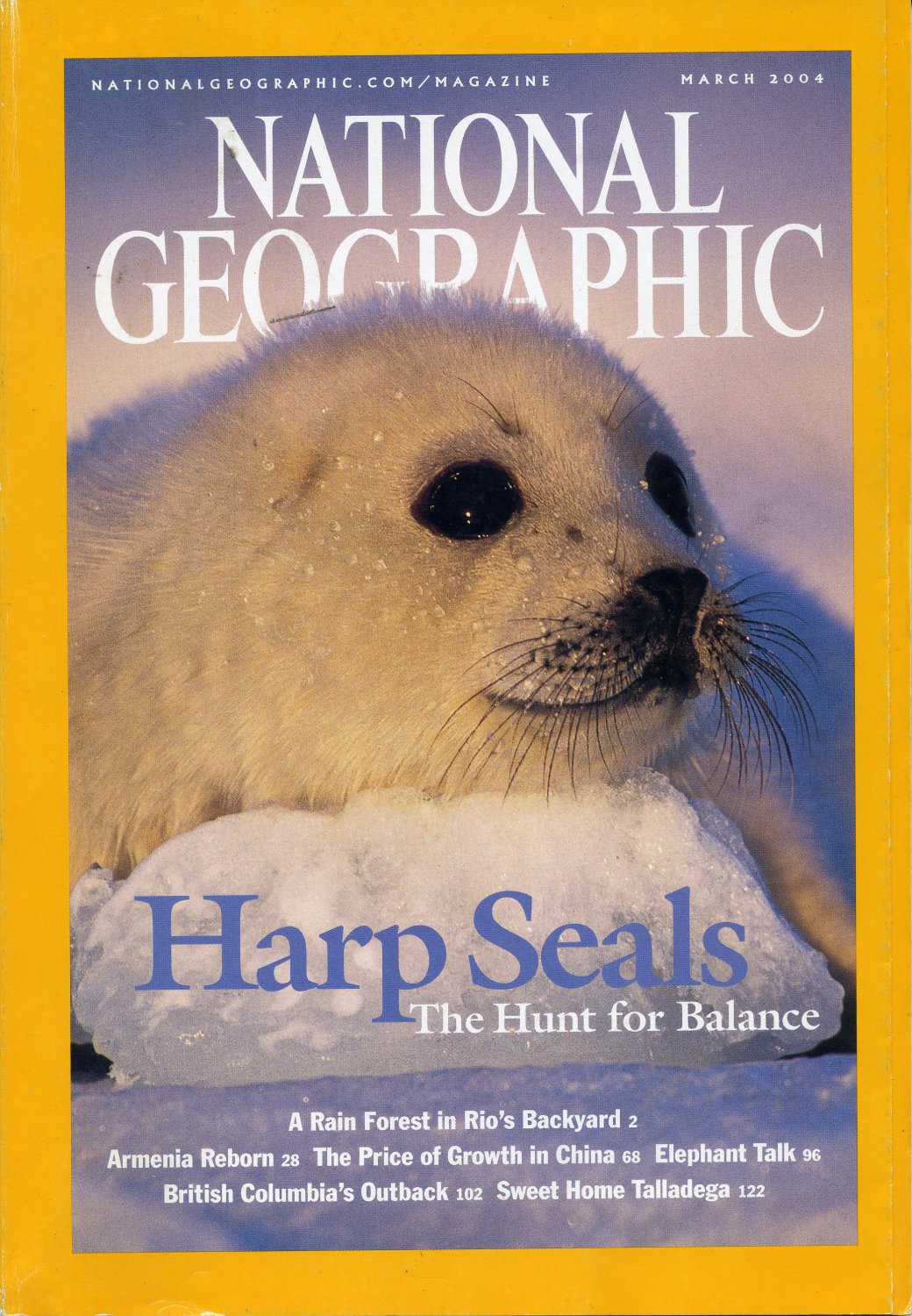 National Geographic March 2004-Harp Seals