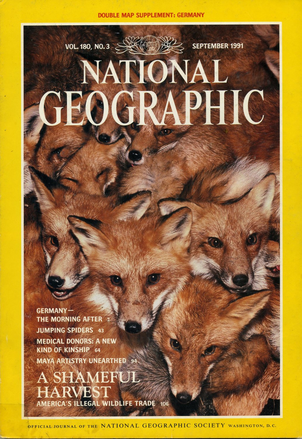 national-geographic-september-1991-a-shameful-harvest-plus-double