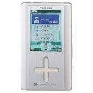 Toshiba 40GB MP3 Player- Silver