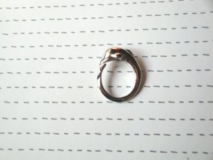 R299 Dolphine Silver Ring