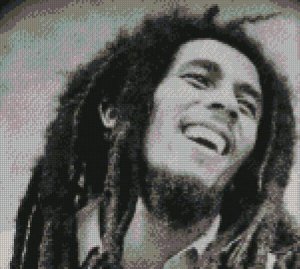 Counted Cross Stitch Kit - BOB MARLEY