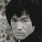 Counted Cross Stitch Kit - BRUCE LEE