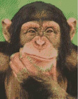 Counted Cross Stitch Kit - THINKING CHIMPANZEE