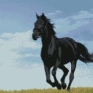 Counted Cross Stitch Kit - BLACK HORSE