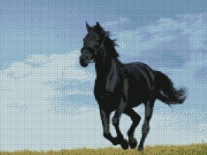 Counted Cross Stitch Kit - BLACK HORSE
