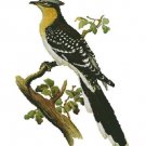 Counted Cross Stitch Kit - GREAT SPOTTED CUCKOO - JOHN GOULD