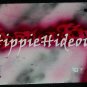 Airbrushed License Plate Personalized Name Spoiled Brat