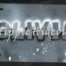 Airbrushed License Plate Personalized Name Carved in Stone