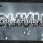Airbrushed License Plate Personalized Name Carved in Stone