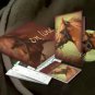 PARELLI PATTERNS - ON LINE PATTERNS NATURAL HORSEMANSHIP EQUINE TRAINING - NEW