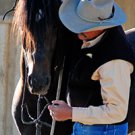 PARELLI PATHWAYS - LEVEL 4 - THE NATURAL HORSE TRAINING - MSRP - $199  EXCELLENT