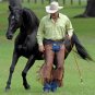 Parelli Pathways Level 3 NATURAL HORSE TRAINING (3 DVD) MSRP - $199 NEW & SEALED