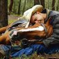 Parelli Level 2 Harmony, VHS + DVD Backup - DUAL FORMAT Horse Training MSRP $269