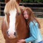 Parelli Pathways Level 4 NATURAL HORSE TRAINING (4 DVD) - MSRP -  $199 BRAND NEW