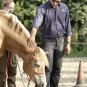 Parelli Level 1 Natural Horsemanship Training DVD ORIG $269 VERY EXCELLENT COND