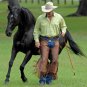 Parelli Level 1 Natural Horsemanship Training DVD - ORIG, $269 - NICE CONDITION