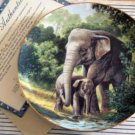 'African Elephant' Wildlife Society LMT ED Collector Plate