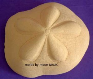 SAND DOLLAR OOAK by Mother Nature! SILICONE Candle Soap Resin Plaster Cement MOLD