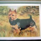 Australian Terrier #1 Dog Notecards Envelopes Set - Maystead - NEW