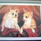 Chihuahua #9 Dog Notecards Envelopes Set - Maystead - NEW