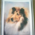 Collie #3 Dog Notecards Envelopes Set - Maystead - NEW