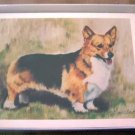 Welsh Corgi #5 Dog Notecards Envelopes Set - Maystead - NEW
