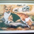 Welsh Corgi #6 Dog Notecards Envelopes Set - Maystead - NEW