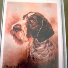 German Wirehair Pointer #1 Dog Notecards Envelopes Set - Maystead - NEW