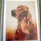 Irish Setter #2 Dog Notecards Envelopes Set - Maystead - NEW