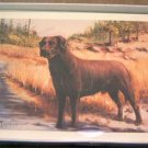 Labrador Retriever LAB #7 Dog Notecards Envelopes Set - Maystead - NEW