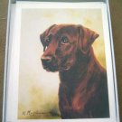 Labrador Retriever LAB #10 Dog Notecards Envelopes Set - Maystead - NEW