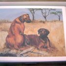 Rhodesian Ridgeback #6 Dog Notecards Envelopes Set - Maystead - NEW