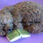 Bear Napping with Book SILICONE Candle Soap Resin Plaster Cement MOLD