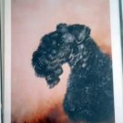 Kerry Blue Terrier #2 Dog Notecards Envelopes Set - Maystead - NEW