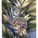 Jody BERGSMA Art Card Print : Wings of Transformation