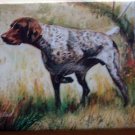Dog Breed Full Backed Quality Magnet - Maystead - NEW GSP6