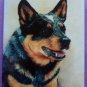 Dog Breed Full Backed Quality Magnet - Maystead - NEW ACD4