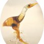 DODO BIRD
