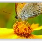 LED Module Lit Light Box 18 x 24