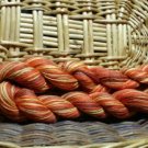astro dyed kp cotton fall yarn multi colors 300 yards