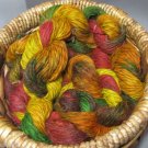hand dyed  yarn 100% alpaca set lot worsted fall veggie