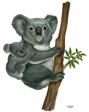 Koala Bear Mural