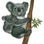 Koala Bear Mural