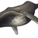 Whale Mural